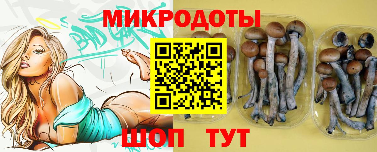 Галлюциногенные грибы GOLDEN TEACHER  Вход с VPN  Сланцы 