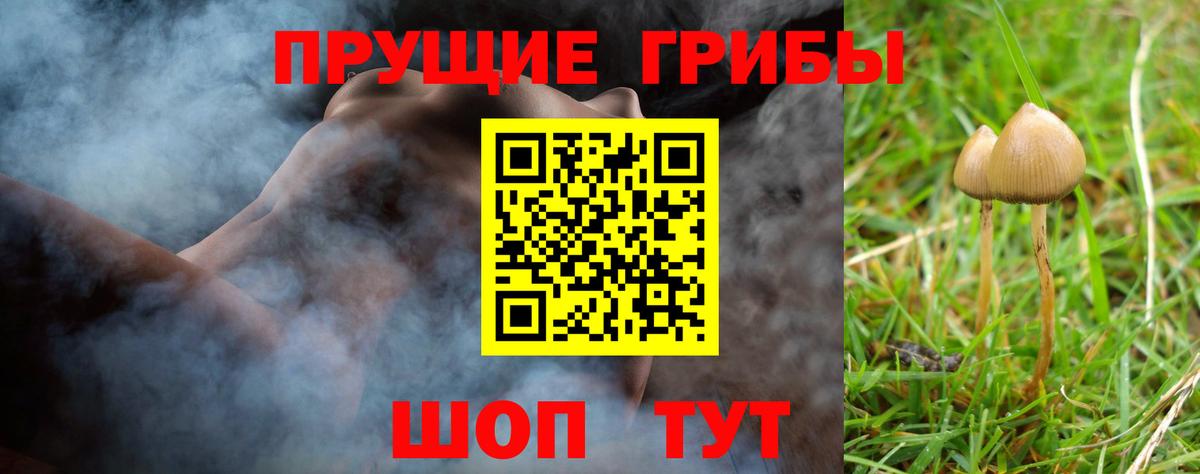 Галлюциногенные грибы мицелий Сланцы